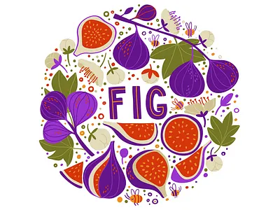 Fig bright circle elements fig flat fruit green illustration juicy vector
