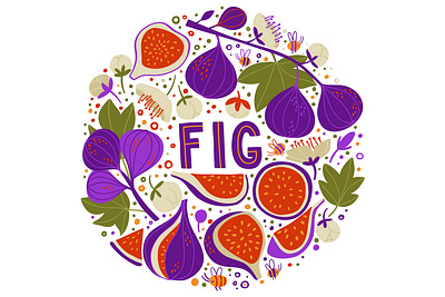 Fig bright circle elements fig flat fruit green illustration juicy vector