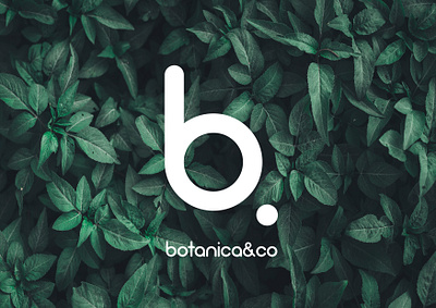 Botanica&Co brand identity branding design graphic design logo logodesign logotype typography