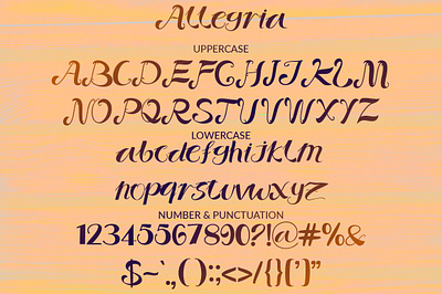 Allegria calligraphy font design elegant font font illustration logo logo font script typography ui