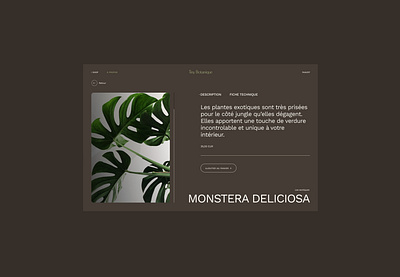 Tiny Botanique UI Design app design branding design graphic design monstera nature plants plants lovers ui ux web design