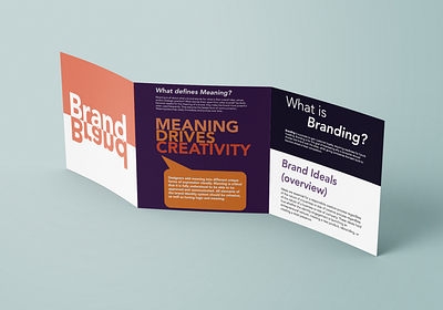 Branding Brochure branding design graphic design icon logo vector