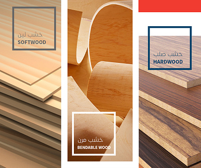 Masdar Creative Content art direction creative content digital design graphic design