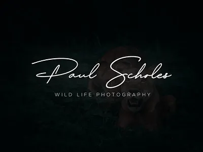 Photography Signature logo handwritten logo style luxury photography logo photography logo photography logo style signature logo wild life logo wild life photographer logo