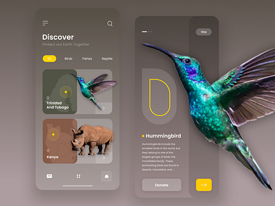 Rare Species App typography ui