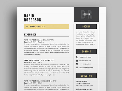 Resume/CV docx cv template