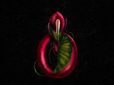 Georgian Letter ტ-T design graphic design illustration letters typography