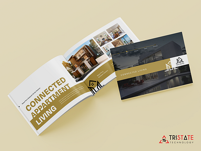 Brochure branding brochure creative design graphic design modern design