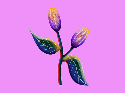 Letter K 36daysoftype botanic botanical design drawing floral flower flowers illustration leaf leaves letter letter j plant procreate procreate app procreate illustration type typography