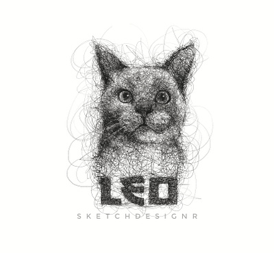 Scribble Sketch artist artwork cat design illustration logo pet portrait portrait art sketch sketchbook ui