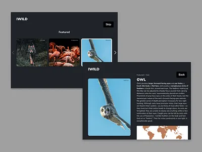 Info Card - Daily UI 045 daily ui daily ui 045 dailyui day 045 design ui ux web design