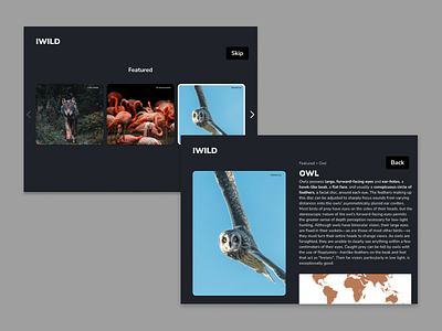 Info Card - Daily UI 045 daily ui daily ui 045 dailyui day 045 design ui ux web design