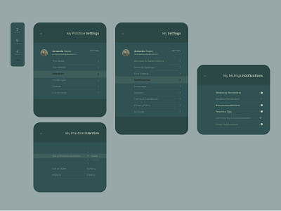 Daily UI 007 Settings Design graphic design ui ux