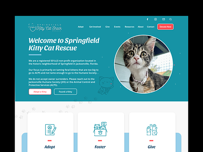 Cat rescue website design rescue ui ui design ux web web design website