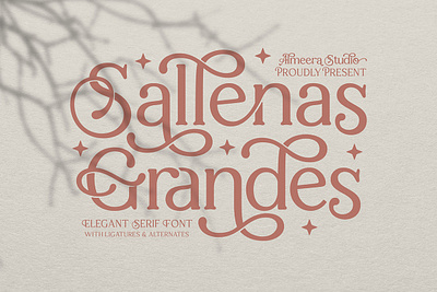 Sallenas Grandes | Elegant Serif Font magazine