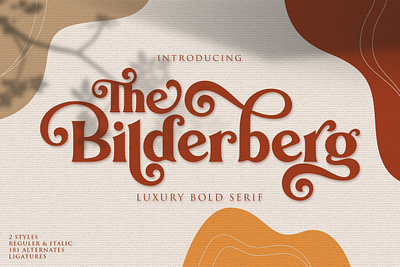 Bilderberg | Luxury Bold Serif casual