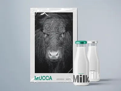 Minimal Mucca