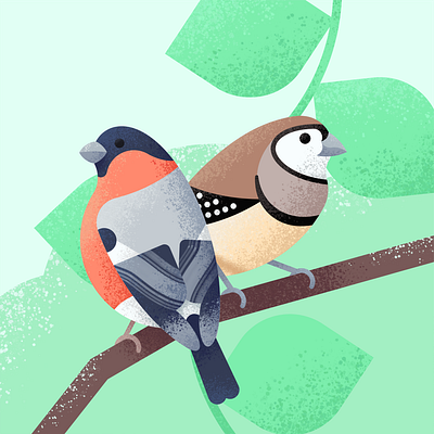 Finches animals art aviary bird branch design digital art digital painting drawing finch geometric graphic design illustration leaves nature painting pets procreate texture wildlife