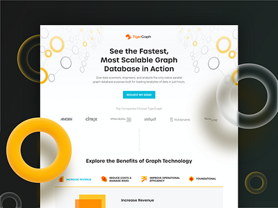 Graph Database Landing Page branding conversion design conversion rate optimization cro design graphic design landing page layout lp saas saas landing page ui ui. uiux ux design