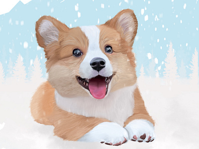 Corgi animal corgi dog dribble graphic design illustration illustrator procreate puppy sketch