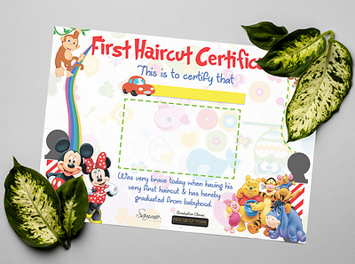 CERTIFICATES branding certificate design education graphic design stationery