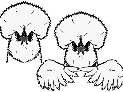 fluffy Silkie chicken design bird chicken cute design farm animals fluffy funny graphic design illustration logo outline poultry silkie silkie chicken white