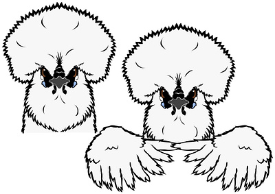 fluffy Silkie chicken design bird chicken cute design farm animals fluffy funny graphic design illustration logo outline poultry silkie silkie chicken white