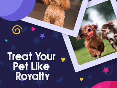 Social Media Marketing - Custom Post & Creatives branding custom logo design graphic design illustration logo social media marketing typography ui ux vector