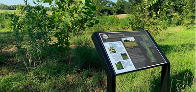 Interpretative Signage illustration interpretative parks recreation signage ux ux research