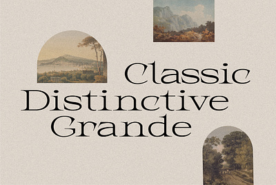 Christo - Renaissance Display Serif branding classic creative market font graphic design logo logo design serif type design typeface typography