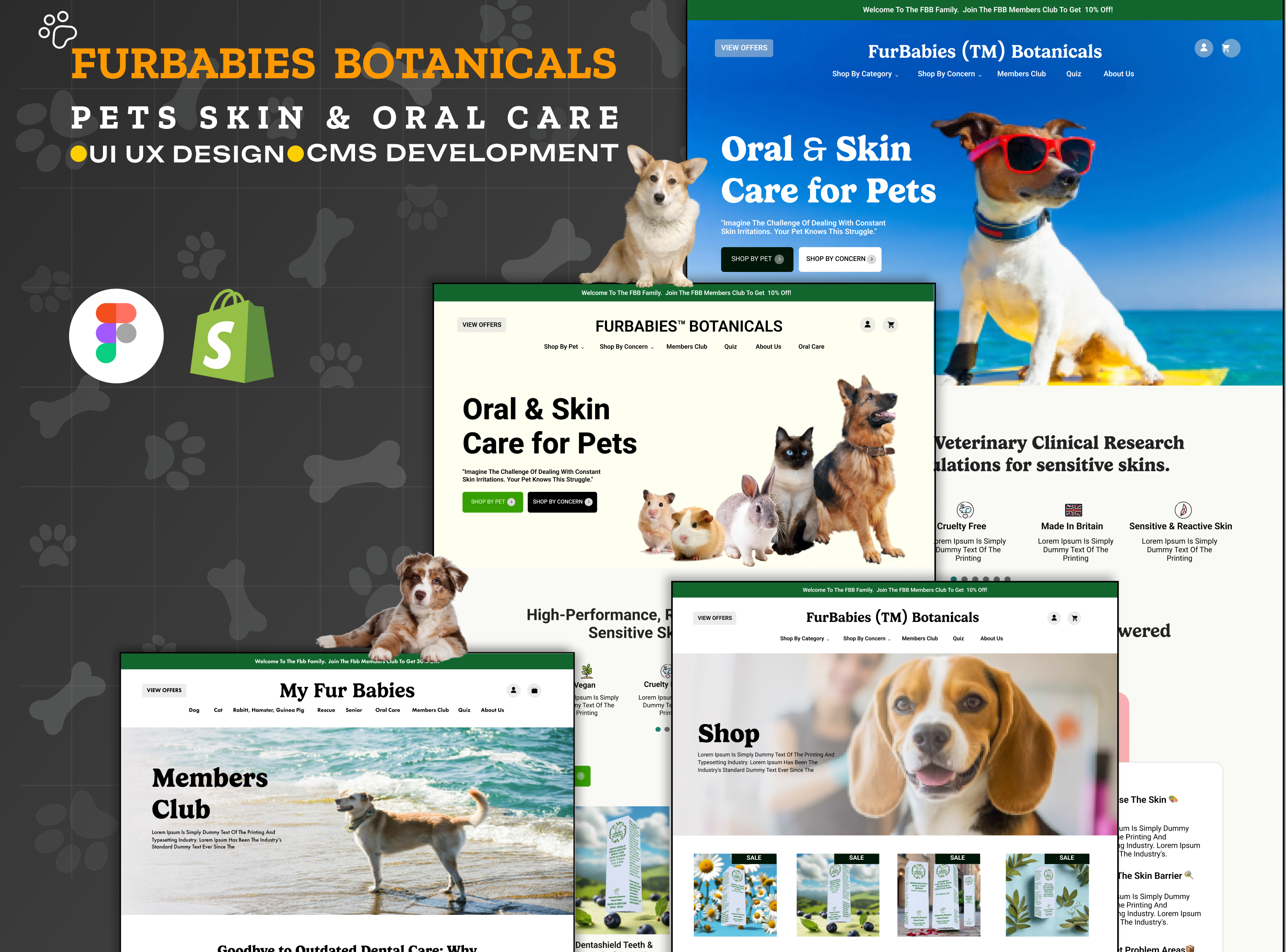Example of Landing Page Development 