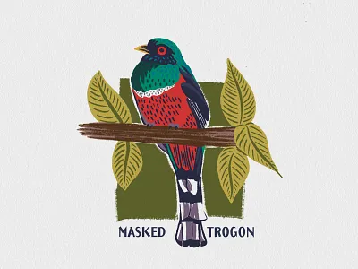 Bird Illustrations No.2 bird illustration design graphic design illustration nature illustration vintage style