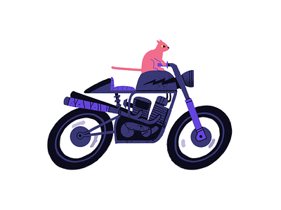 Cafe Kitty Racer animation caféracer cat character gerhard van wyk illustration motorbike motorcycle photoshop sticker