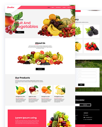 Sunshine bootstrap business css e commerce fruit fruit shops html5 responsive template vegetables