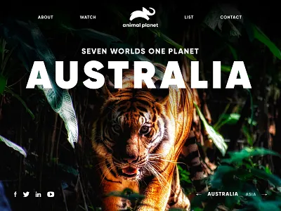 Animal Planet awesome design minimal ui ux