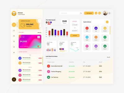Kosten Expense Manager Dashboard dashboard design dashboard page dashboard ui dashboarrd expense dashboard expense manager expense report expense secreen expenses expense dashboard ui reporting ui
