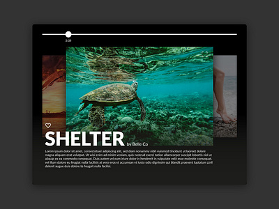 Image Slider branding dailyui design flat graphic design illustration logo minimal ui ux vector