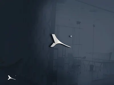 Raha Brand bmx branding extreme ramp sport unique