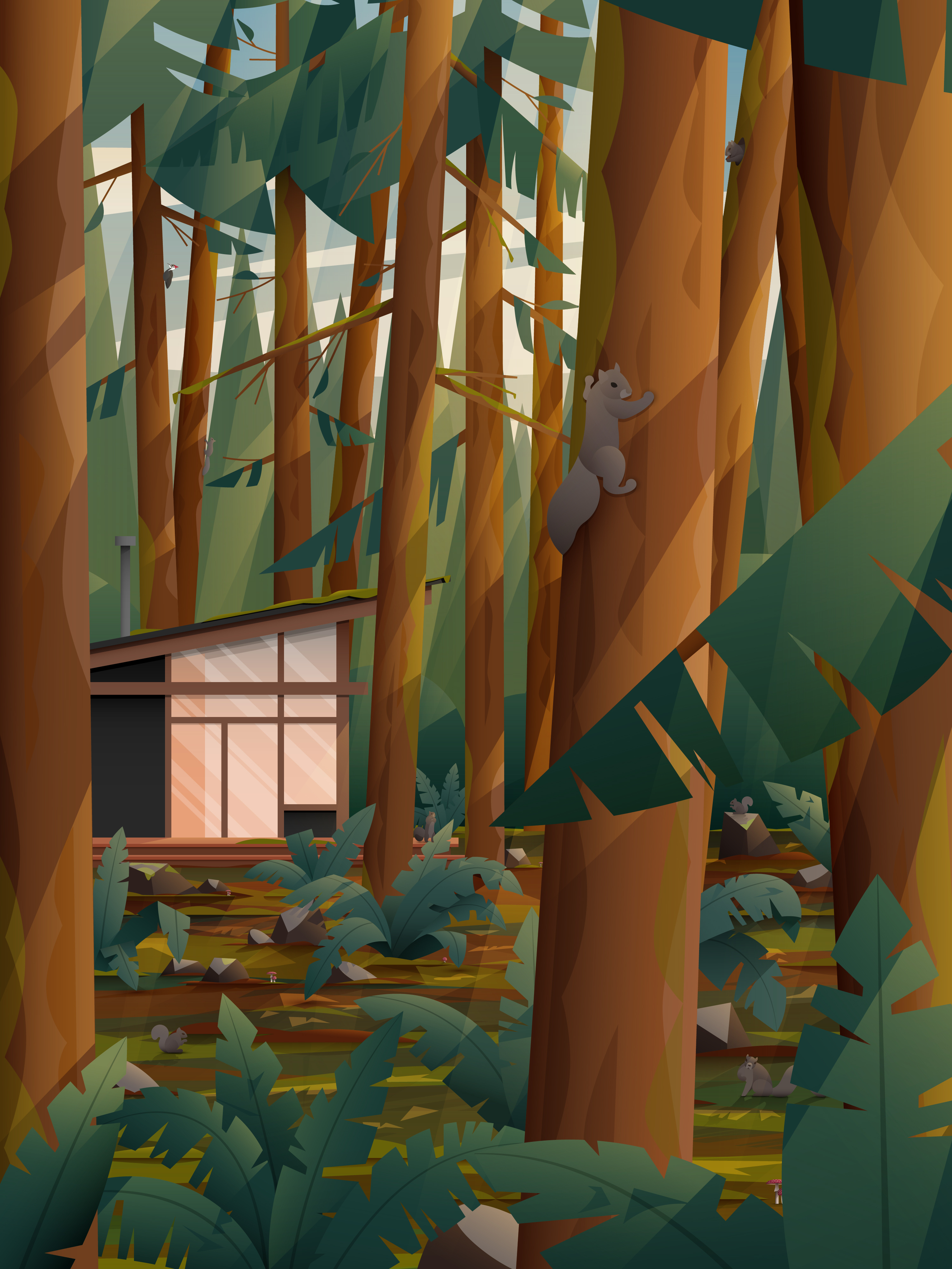 Travel Illustration: PNW Old Growth Forest art cabin design ferns flat forest geometric illustration illustrator moss mushroom nature pacific northwest pine tree rocks squirrel trees vector washington woodpecker