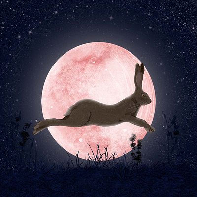 The moon and the hare book character illustration nature rabbit