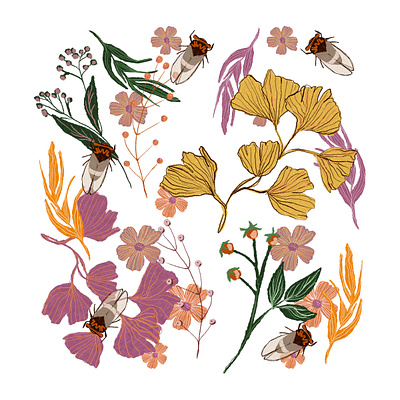 Pattern Study botanic design flowers illustration nature pattern