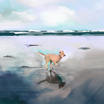 Dog on the beach colours digital paint illustration light photography photoshop