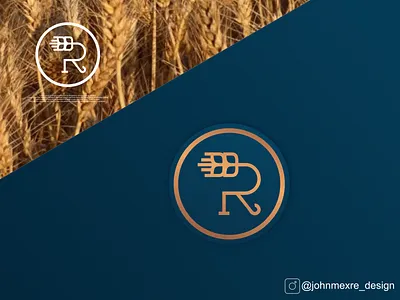 R branding business company design graphicdesign illustration logo logos monogram