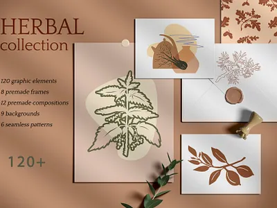 Herbal collection branding design graphic design herbal illustration illustrator logo minimal plant vector