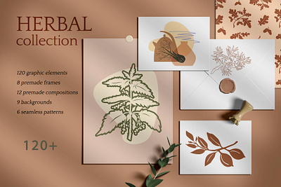 Herbal collection branding design graphic design herbal illustration illustrator logo minimal plant vector