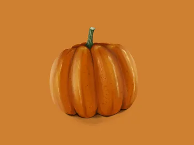 PUMPKIN 2d 2d art autumn fall illustration pumpkin raster vegetables
