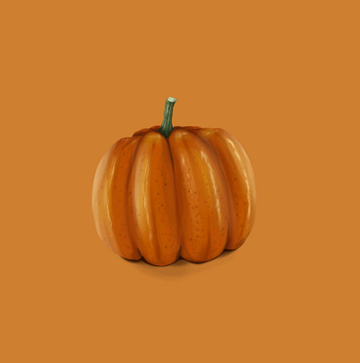 PUMPKIN 2d 2d art autumn fall illustration pumpkin raster vegetables