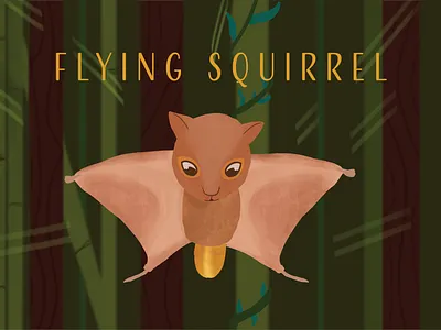 Flying Squirrel adobe calendar cute design graphic design illustration illustrator cc nature photoshop poster procreate savetrees vector vegan wacom intuos