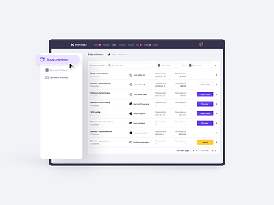 Hostinger - billing dashboard billing clean dashboard hosting minimalistic