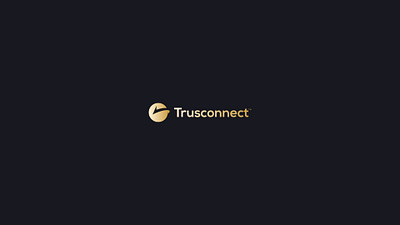 Trusconnect identity logo real estate